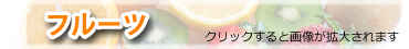 t[c̏Љ